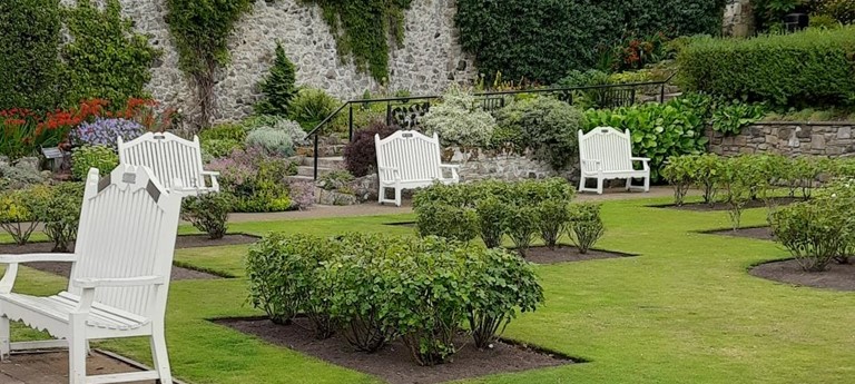 Lodge Grounds