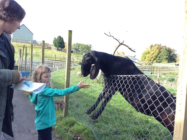Picture of Auchingarrich Wildlife Centre