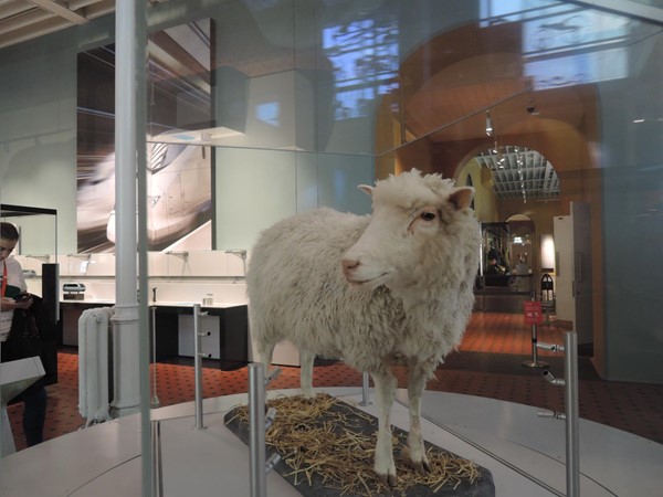 Picture of National Museum of Scotland