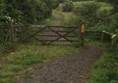 Picture of Tees Railway Path, Romaldkirk to Middleton-on-Tees