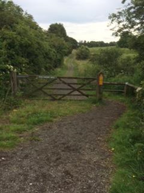 Picture of Tees Railway Path, Romaldkirk to Middleton-on-Tees