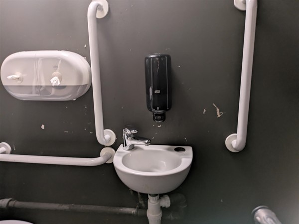 Image of sink and grabrails