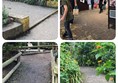 Terrain types