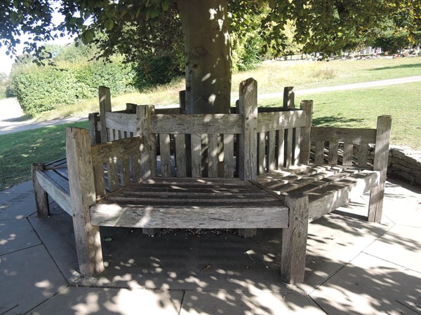 Bench