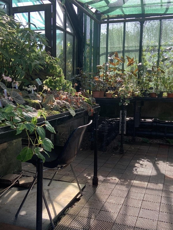 Image of planters inside the greenhouse. A molded-plastic chair is tucked in under one of them.