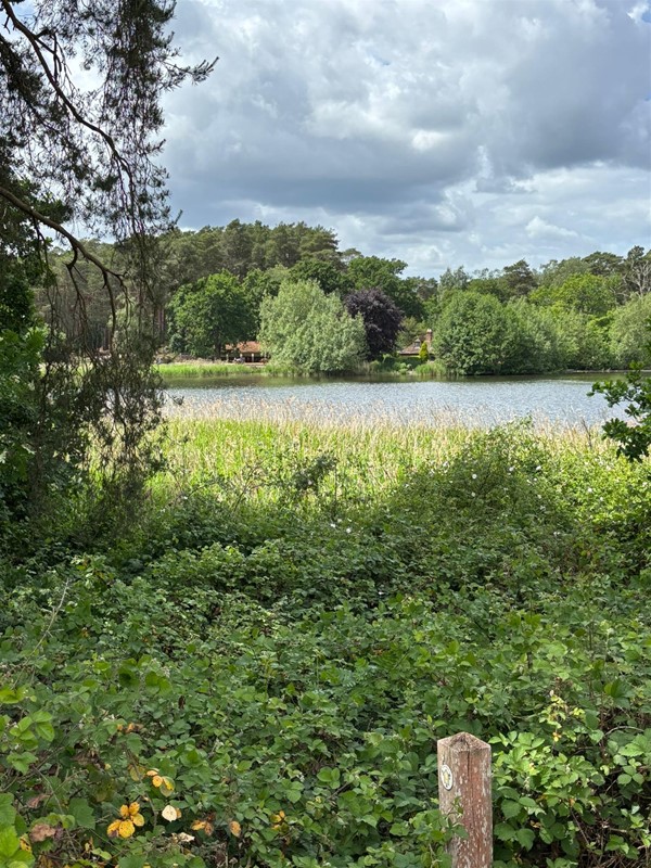 Image of a body of water in the countryside