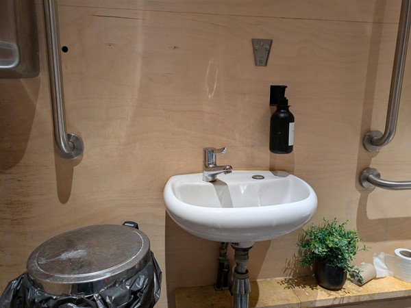 Image of sink and grab rails