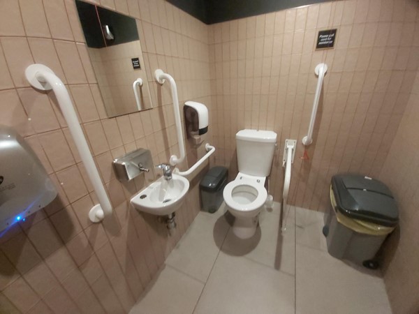 Accessible toilet