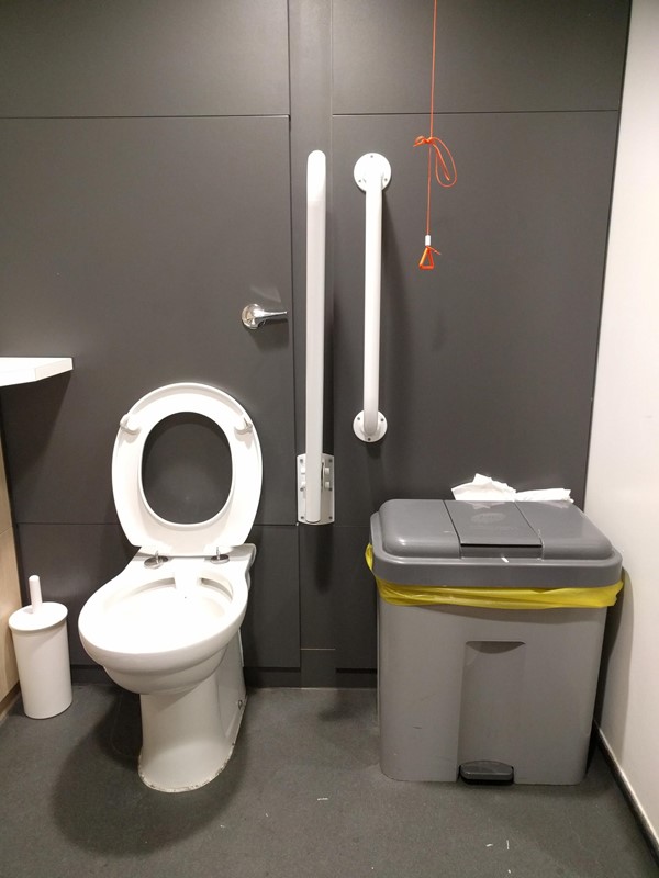 Photo of the toilet.