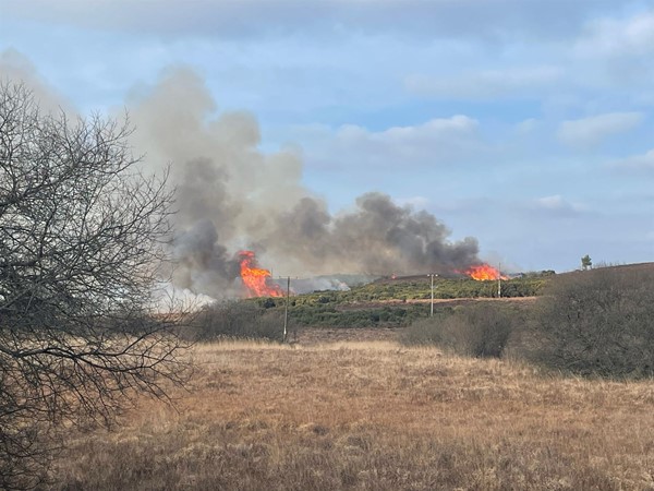 Controlled bush burn in progress!