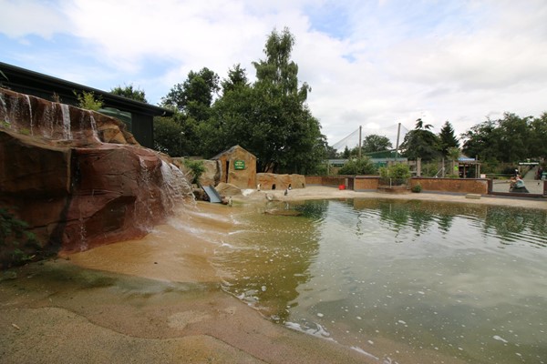 The penguin pool