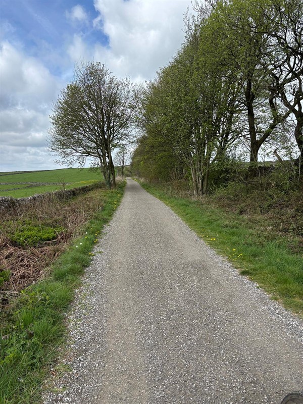 Image of a pathway