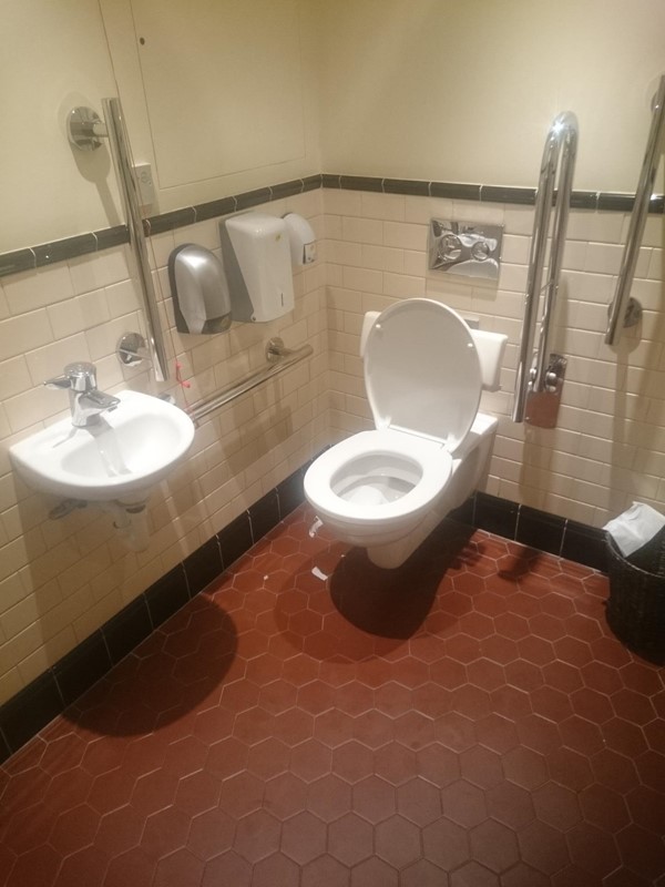 Picture of the accessible toilet