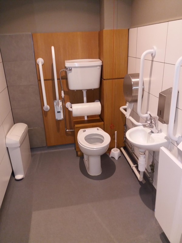 1 of the two toilets on the lower ground floor.