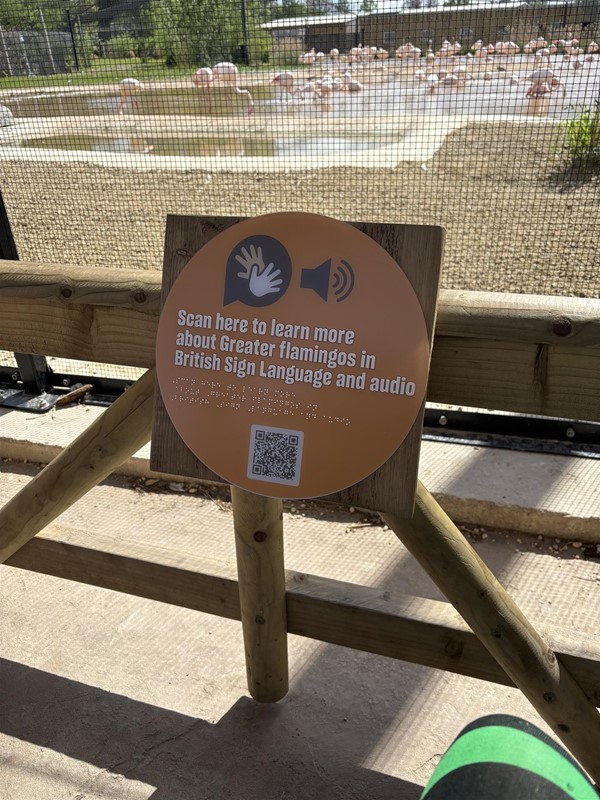 BSL information about some of the animals