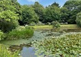 The first lake