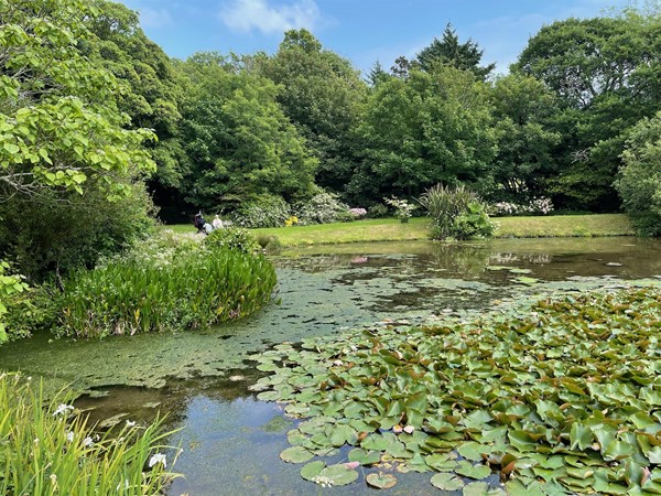The first lake