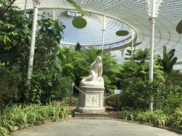 Victorian Glasshouse.