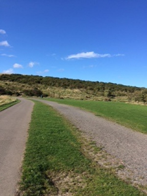 Picture of Weetslade Country Park, Wideopen