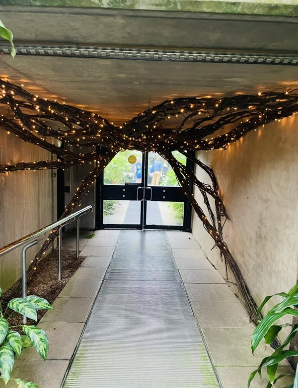 Image of double doors and a tree with lights