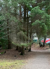 Craigellachie National Nature Reserve