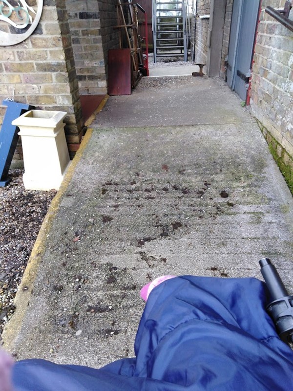 Ramp from garden to outside toilet.