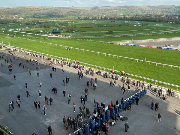 Picture of Cheltenham Racecourse