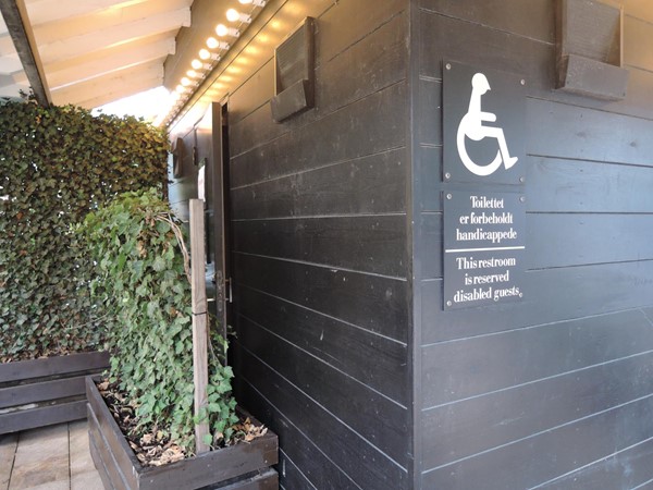 Accessible toilet