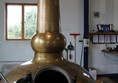 Distillery tour
