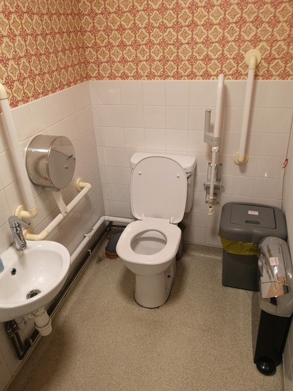 Image of the accessible toilet.