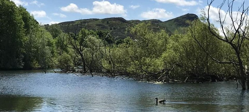 Lochend Park