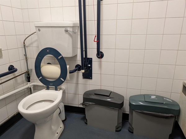 Image of accessible toilet