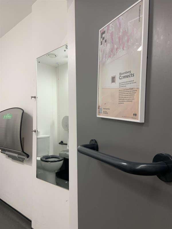 image of the inside of the door to the accessible bathroom, mirror and baby change