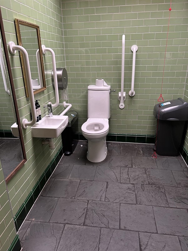 Image of an accessible toilet