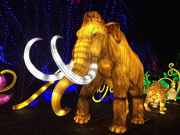 Mammoth