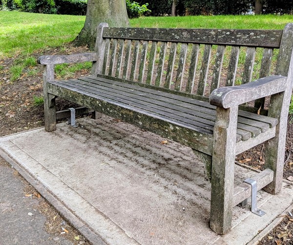 Image of bench on pathway