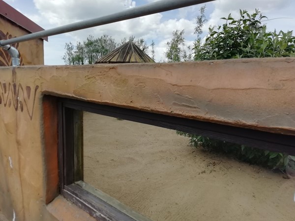 View of meerkat enclosure