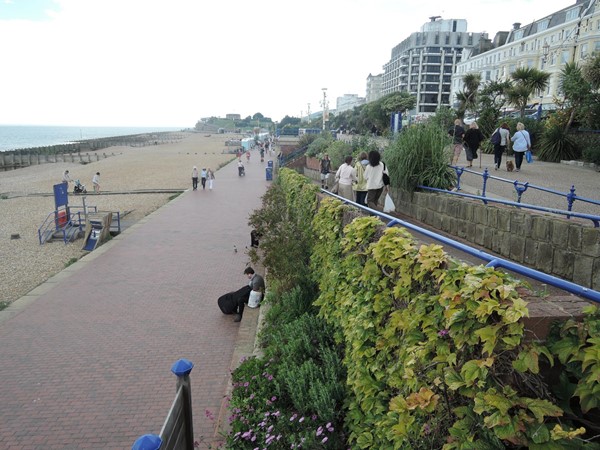 Ramps to the beach