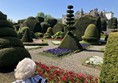 Image of topiary in a garden