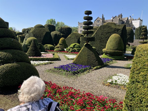 Image of topiary in a garden
