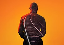 The Train Driver