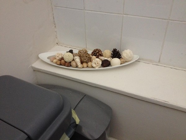 A lovely decorative display to cheer you up on your toilet visit.
