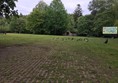 Image of picnic area and ducks wandering around.