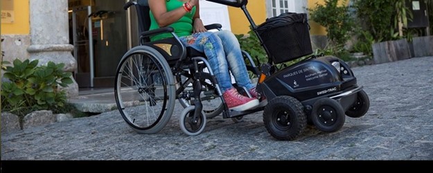 Disabled Access Day at Park and National Palace of Pena article image