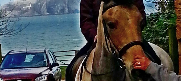 Seacliff Stables