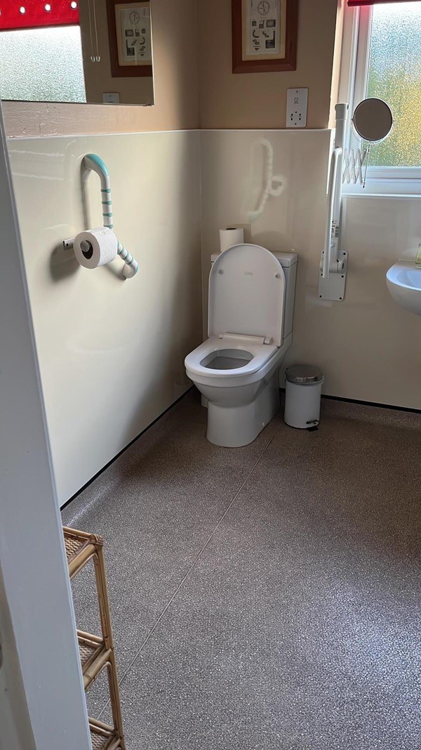 Toilet with grab rails in wet room