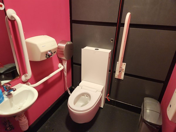 Image of an accessible toilet