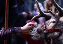 Christmas at Winterbourne