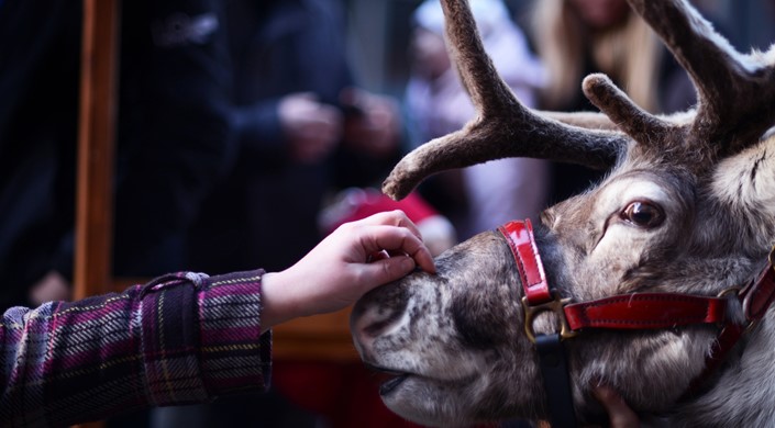 Christmas at Winterbourne