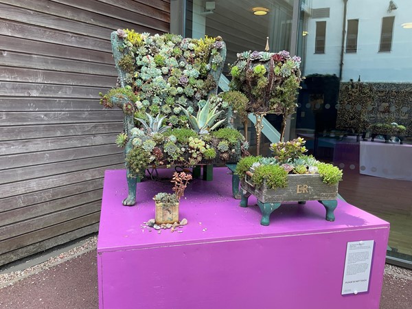 What better to see at the entrance than this succulent plant display